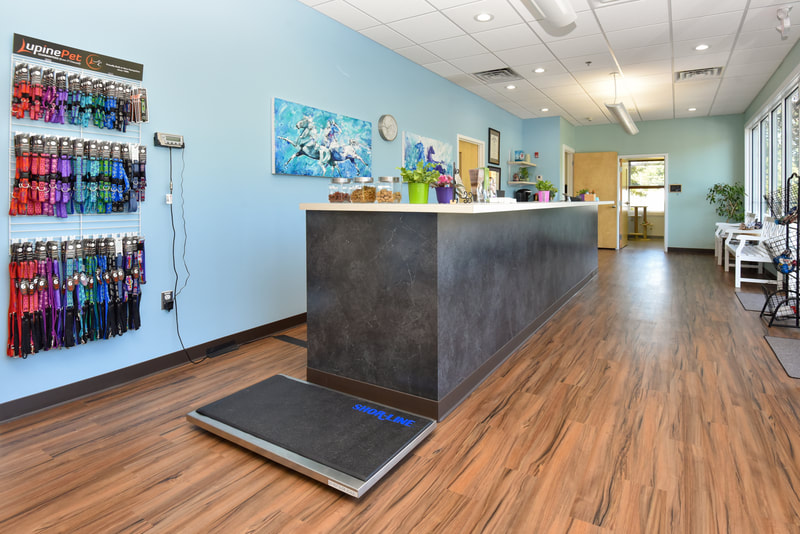 the weigh and welcome station at Compassionate Care Veterinary Services