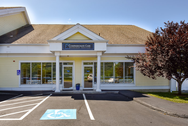 the exterior of Compassionate Care Veterinary Services front door